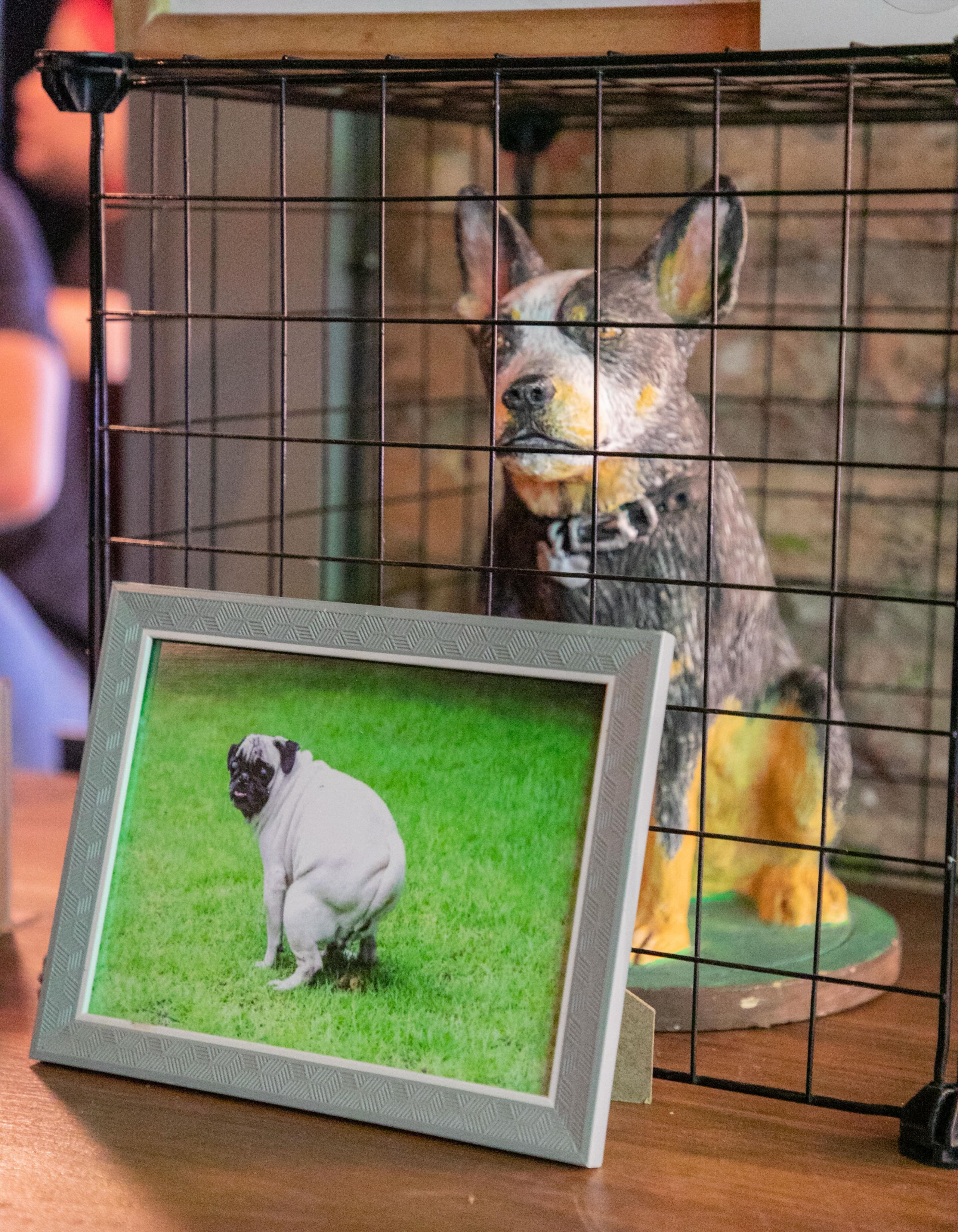 Un perro de cerámica en una jaula, junto a la foto enmarcada de un pug